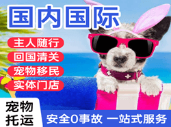 萧山机场物流国际宠物托运 【国